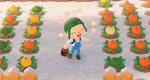 How to get Watering Can in Animal Crossing New Horizons