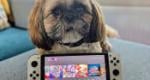Feature: Farewell, Nintendo Switch - It's Finally Time To Bid Our Old Friend 'Adieu'
