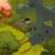 Grave Seasons gets Nintendo Switch release date, new trailer [update: new release date]