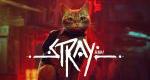 Stray, To a T, Wanderstop announced for Nintendo Switch 2