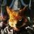 Nintendo has announced a Star Fox Direct