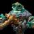 Nintendo pre-order updates – May 17, 2026 – Zelda: Tears of the Kingdom Mineru’s Contruct amiibo, Pokemon Deluxe Character Guide, more