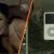 First Metal Gear Solid 4 port footage confirms it’s keeping iPod and Playboy collabs