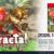 Viractal heading to Nintendo Switch 2 and Switch [update: physical pre-orders]