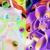Brace Your Wallets, Pokémon's 30th Anniversary TCG Range Is Getting Revealed Next Week