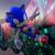 Sega Confirms Sonic Frontiers On Switch "Cannot Be Upgraded" To The Switch 2 Version