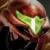 Rumor: Metroid Ravenous leaked for Nintendo Switch 2