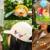 Nintendo unveils new Pikmin merchandise exclusive to Hot Topic