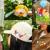 Nintendo And Hot Topic Reveal New Exclusive Pikmin Merchandise