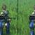 Xenoblade Chronicles 2 Nintendo Switch 2 tech analysis including frame rate and resolution, Switch 1 comparison