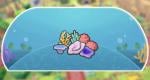 All Bubbly Basin habitats in Pokémon Pokopia