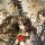 Octopath Traveler Dev Not Ready To Announce A Third Major Entry Yet, But Is Aware Of High Expectations