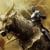 Elden Ring Switch 2 Preview Indicates That Performance Concerns Are A Thing Of The Past