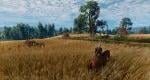 The Witcher 3 Remastered details Nintendo Switch 2 frame rate and resolution, physical release teased, mouse controls supported, mods confirmed