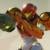 Metroid Ravenous On Switch 2 Will Support 120Hz Output
