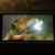 Scalpers are already reselling the sold-out Zelda 40th Anniversary Switch 2 for £700+