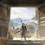 Footage from a reportedly cancelled Assassin’s Creed game set in China has leaked